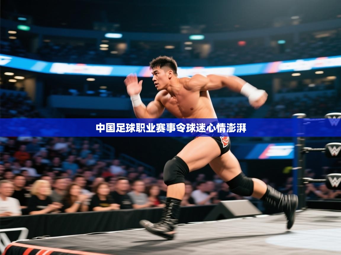 中国足球职业赛事令球迷心情澎湃 第1张