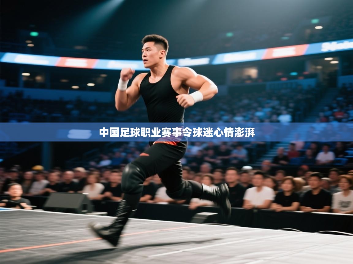 中国足球职业赛事令球迷心情澎湃 第2张
